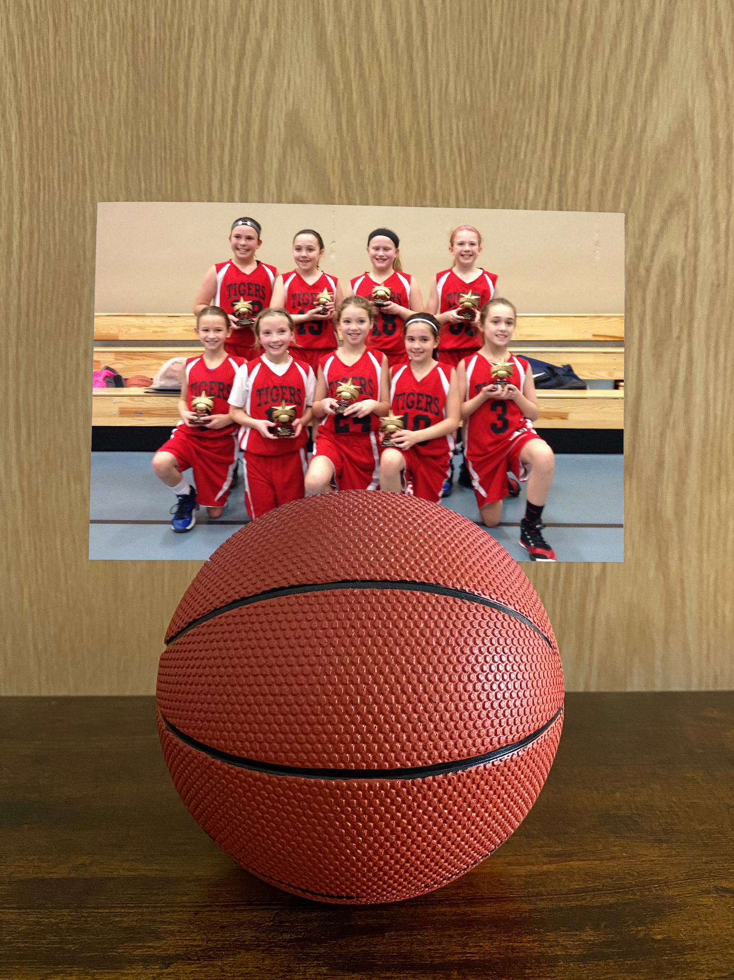 disPLAY BALL: Basketball Photo Holder/Display Stand